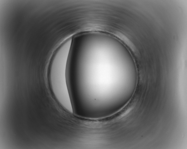 X0000088900885200706080824