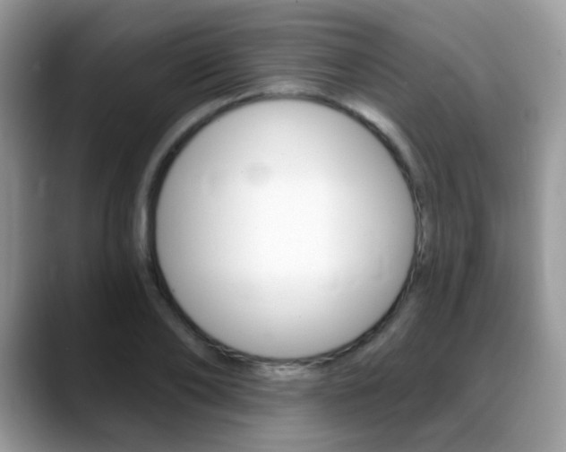 X0000088900886200706080824