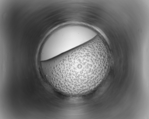 X0000088900887200706080824
