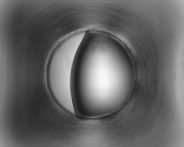 X0000088900888200706080824