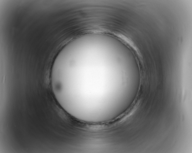X0000088900889200706080824