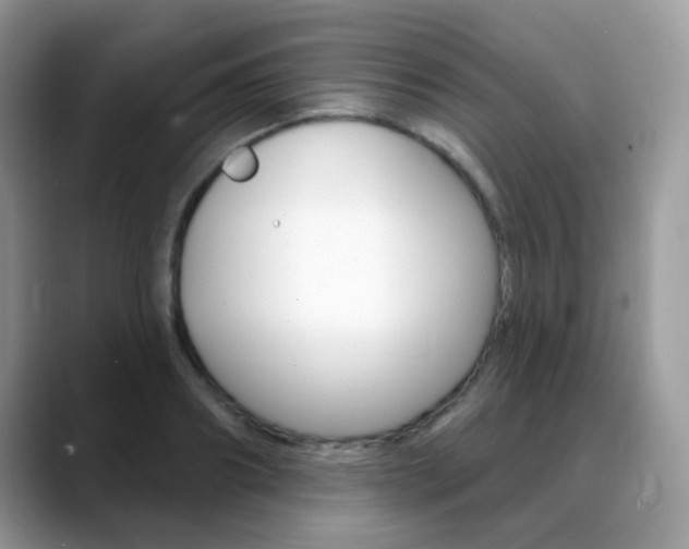 X0000088900890200706080824