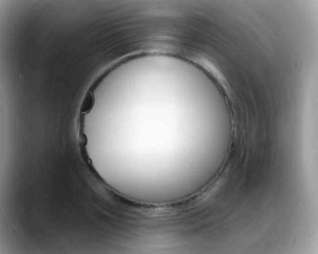 X0000088900891200706080824