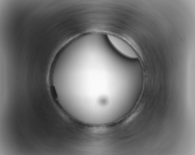 X0000088900893200706080824