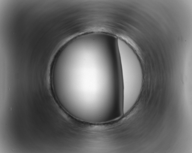 X0000088900894200706080824