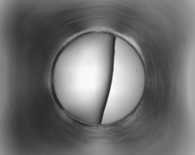 X0000088900895200706080824