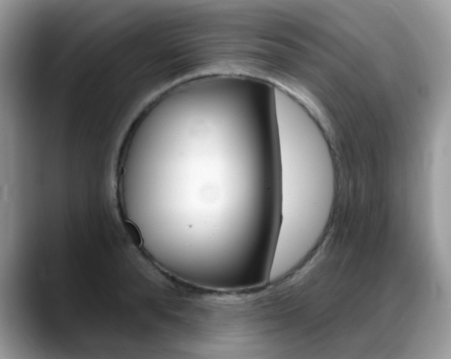 X0000088900896200706080824