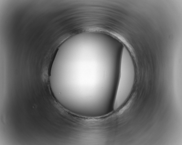 X0000088900897200706080824