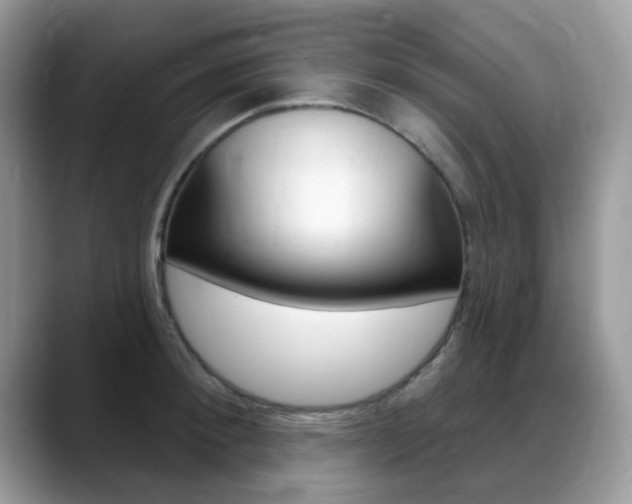 X0000088900900200706080824