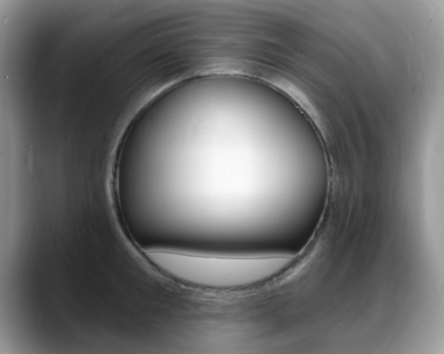 X0000088900901200706080824