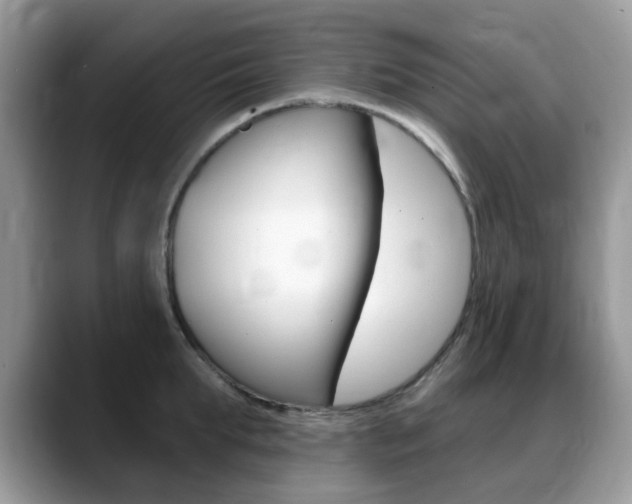 X0000088900903200706080824