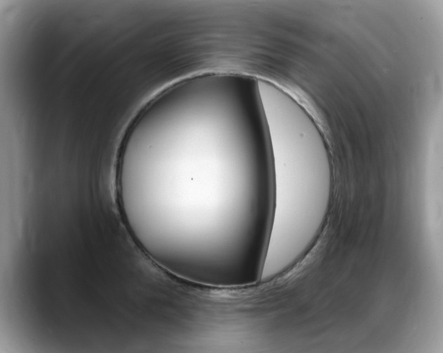 X0000088900904200706080824