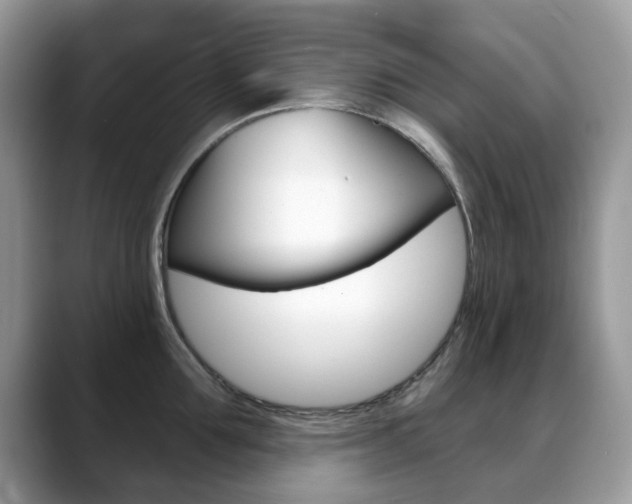 X0000088900907200706080824