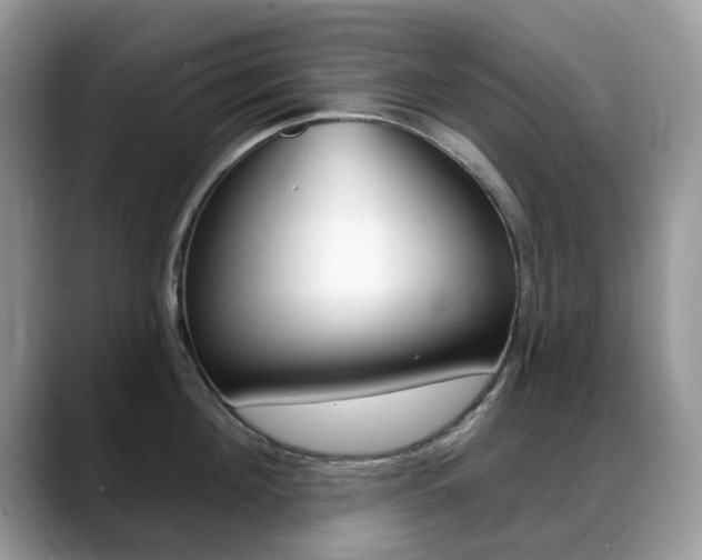 X0000088900908200706080824