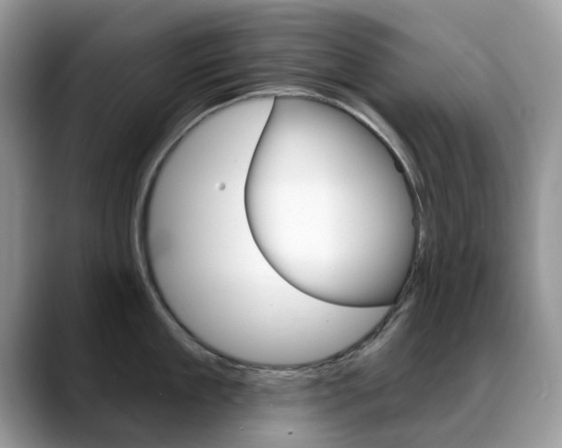 X0000088900909200706080824