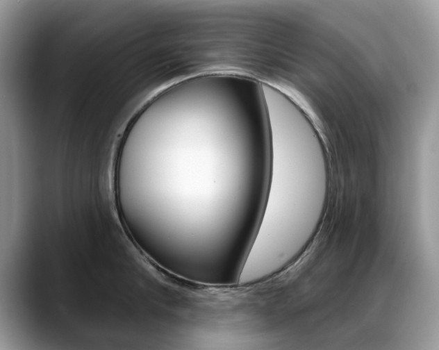 X0000088900910200706080824
