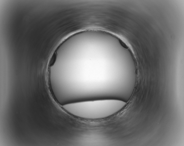 X0000088900911200706080824