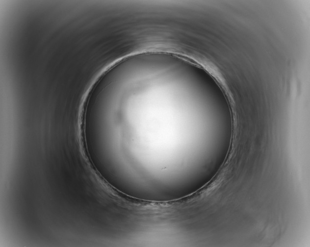X0000088900912200706080824