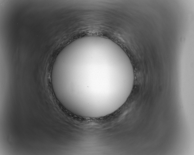 X0000088900913200706080823