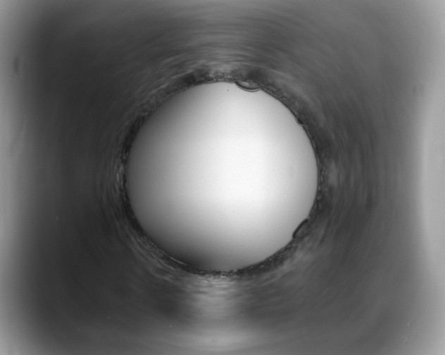 X0000088900914200706080823