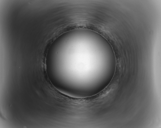 X0000088900916200706080823