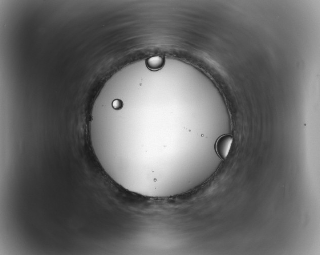 X0000088900918200706080823