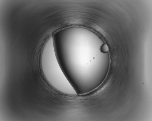 X0000088900922200706080823