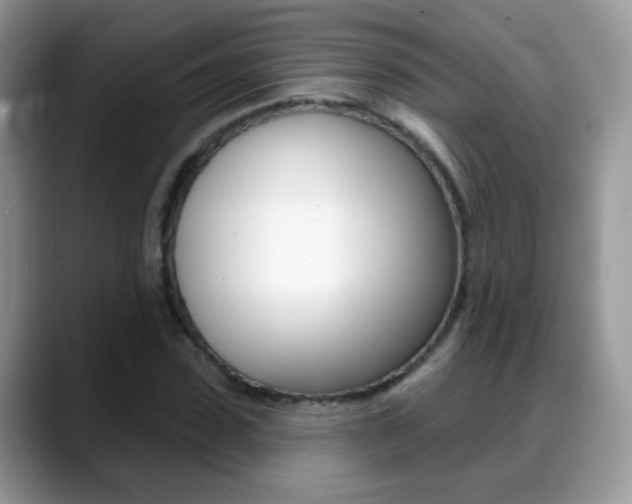 X0000088900923200706080823