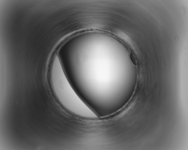 X0000088900924200706080823