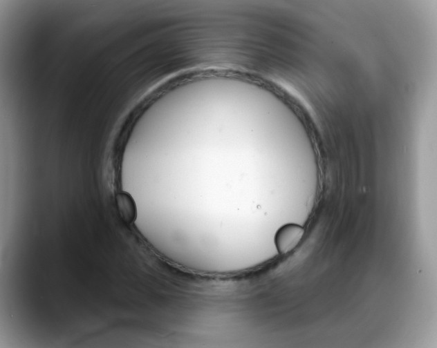 X0000088900925200706080823