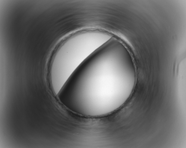X0000088900927200706080823