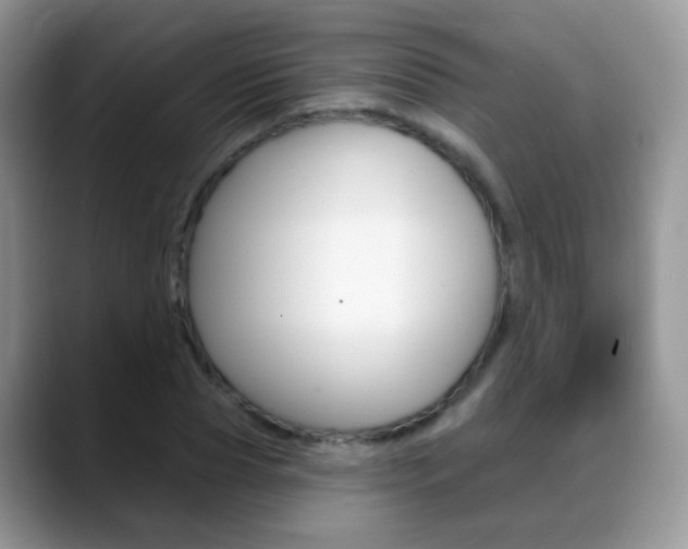 X0000088900929200706080823