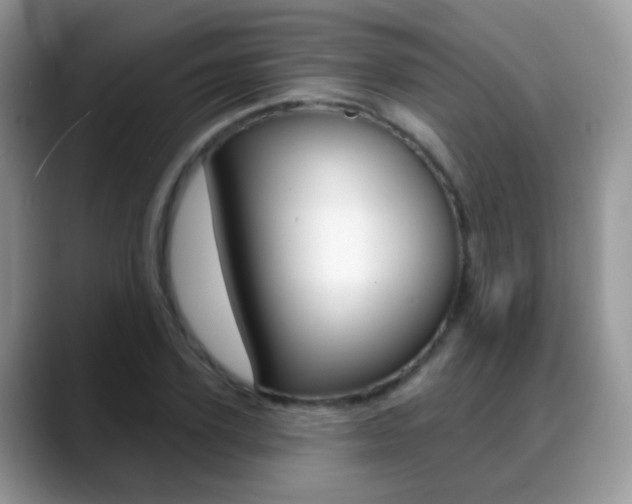 X0000088900931200706080823