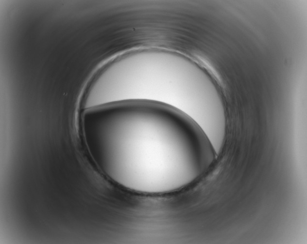 X0000088900932200706080823
