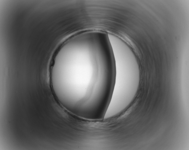 X0000088900940200706080824