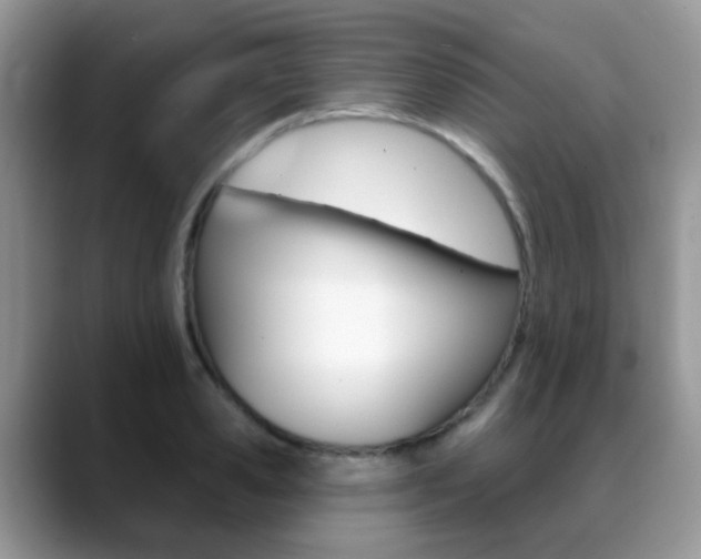 X0000088900941200706080824
