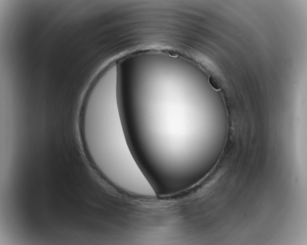 X0000088900942200706080824