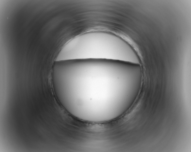 X0000088900945200706080824