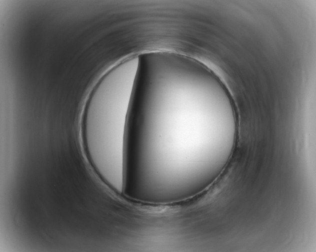 X0000088900949200706080824