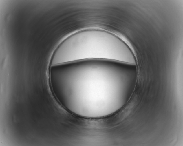 X0000088900951200706080824