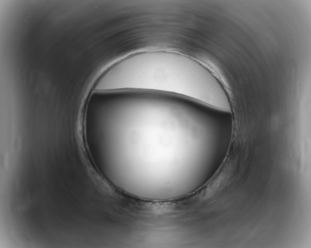 X0000088900952200706080824