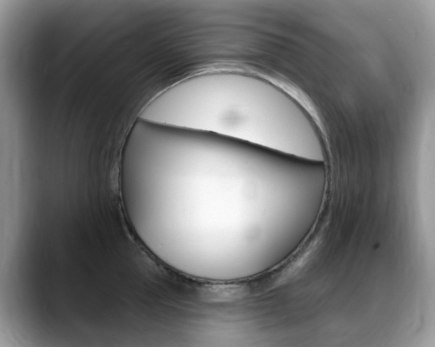 X0000088900953200706080824
