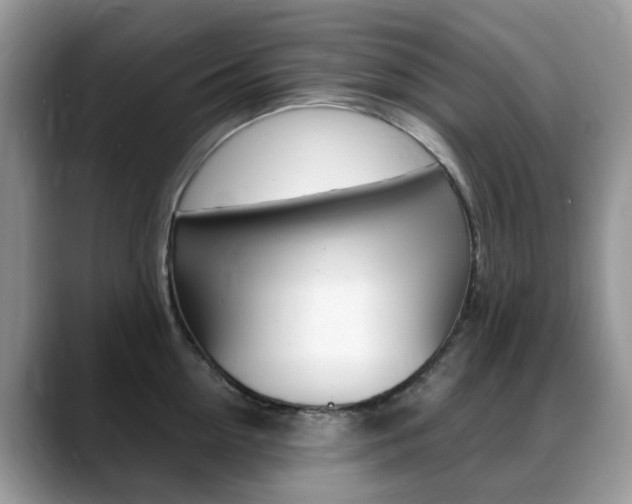 X0000088900954200706080824