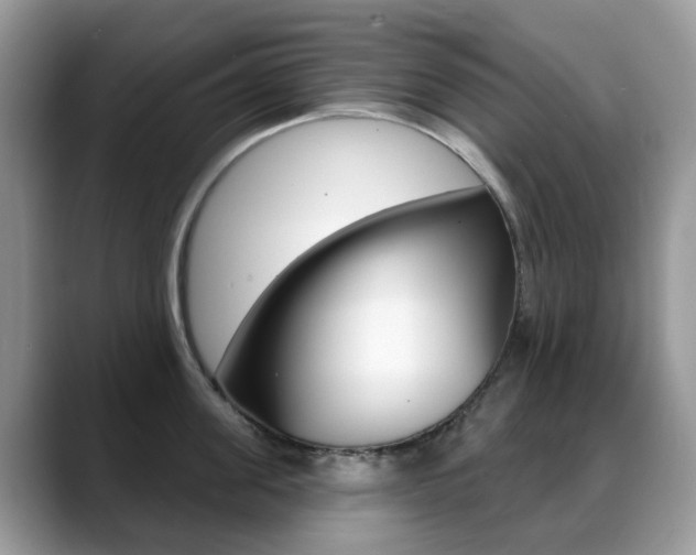X0000088900955200706080824