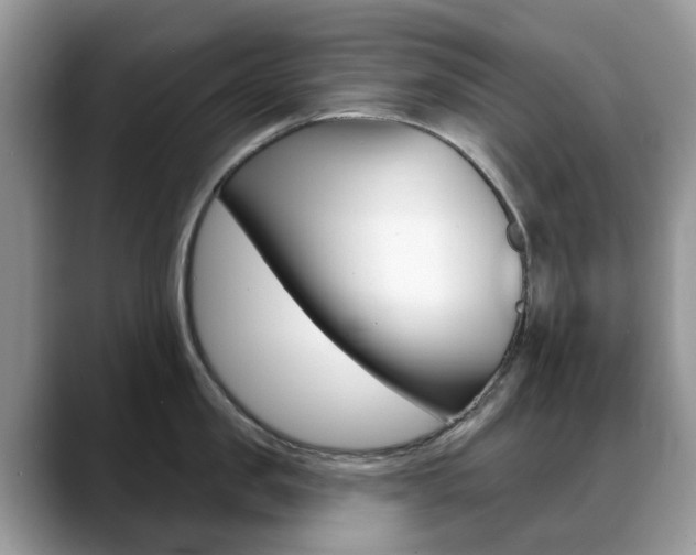 X0000088900957200706080824