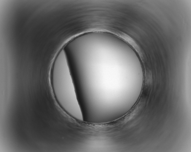 X0000088900958200706080824
