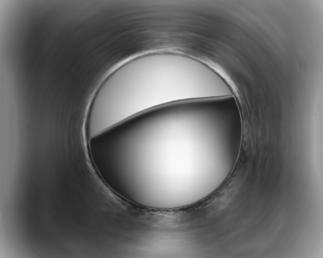 X0000088900959200706080824