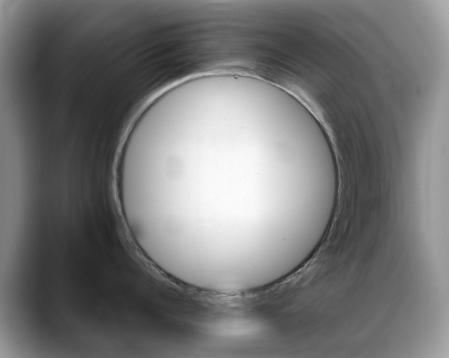 X0000088900960200706080824