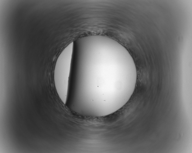 X0000088900962200706080823