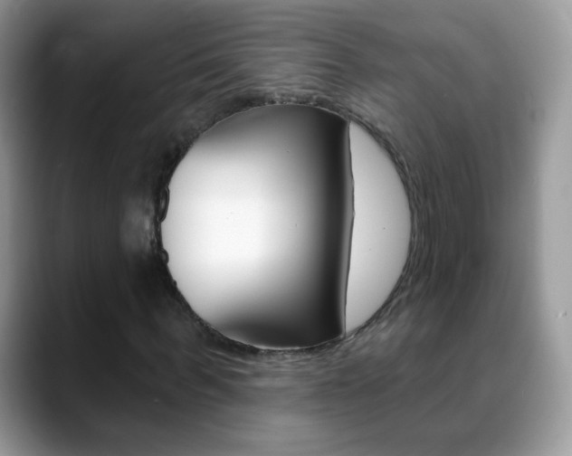 X0000088900963200706080823